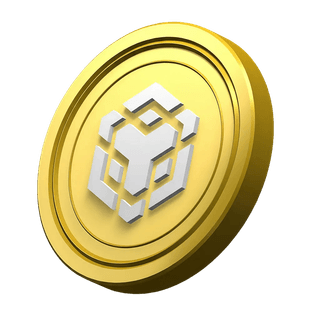 Decorative BNB coin in the platform information section